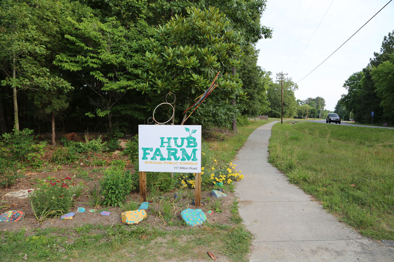 Friends of the Hub Farm The Hub Farm